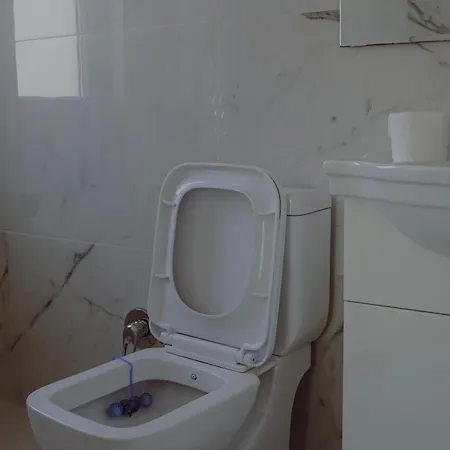 Luxury Apartment